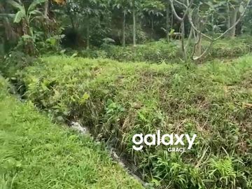 DIJUAL TANAH 4 ARE DI SEBATU GIANYAR