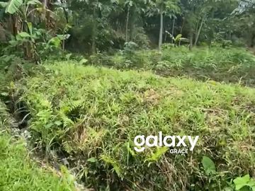 DIJUAL TANAH 4 ARE DI SEBATU GIANYAR