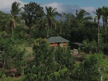 Farm Lot for Sale - Tanauan Batangas / 6025sqm / P28M