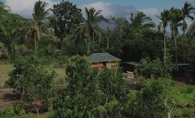 Farm Lot for Sale - Tanauan Batangas / 6025sqm / P28M