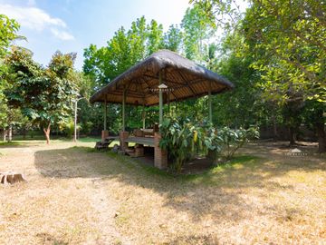 For Sale: 9,277 sqm Farm Lot with Resort in Laguna | NEGOTIABLE!