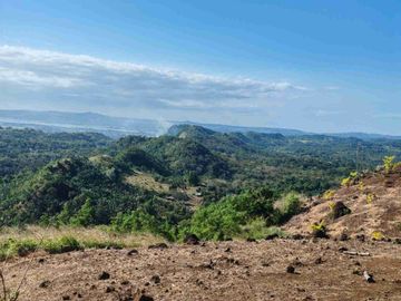 Residential Lot for Sale in Pililla Heights, Pililla Rizal | Scenic Mountain & Lake Views | 200 sqm Starting Lot