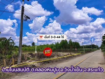 Eucalyptus Farm Land for Sale – 3 Rai in Khlong Hin Pun, Wang Nam Yen, Sa Kaeo