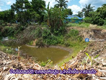 Eucalyptus Farm Land for Sale – 3 Rai in Khlong Hin Pun, Wang Nam Yen, Sa Kaeo
