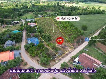 Eucalyptus Farm Land for Sale – 3 Rai in Khlong Hin Pun, Wang Nam Yen, Sa Kaeo