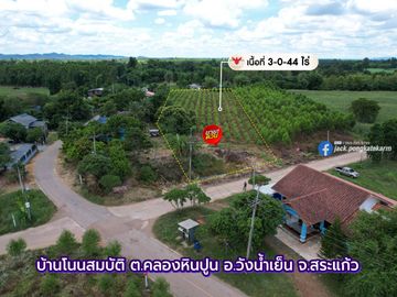 Eucalyptus Farm Land for Sale – 3 Rai in Khlong Hin Pun, Wang Nam Yen, Sa Kaeo