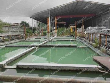 Dijual Cepat Tanah, Bangunan dan Pabrik di Bogor