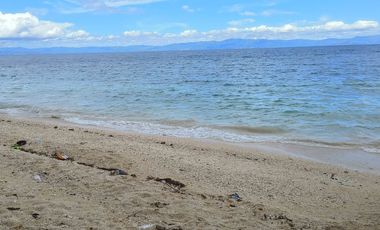 WHITE SAND BEACH LOT FOR SALE IN SAMBOAN, CEBU