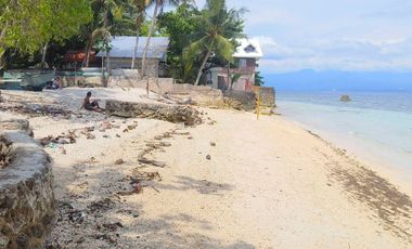 WHITE SAND BEACH LOT FOR SALE IN SAMBOAN, CEBU