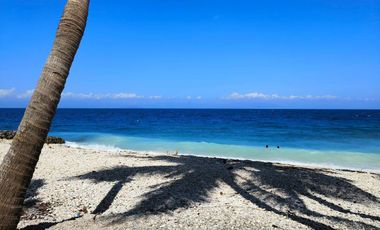 WHITE SAND BEACH LOT FOR SALE IN GINATILAN, CEBU