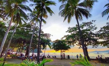 FOR SALE:  605 sqm Residential Lot Beachside in Morong, Bataan - Orchard Vistas Anvaya Cove
