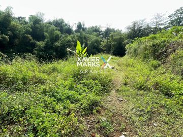 Dijual Tanah Luas di Lawang