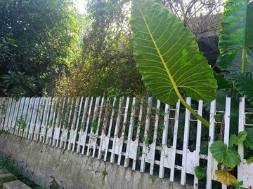 Rumah Hitung Tanah di Turangga Alat Musik dkt Bkr Buah Batu