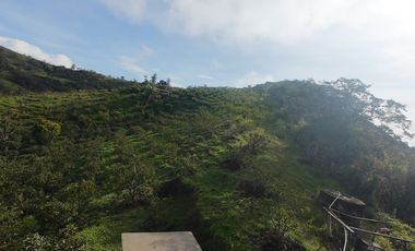 📌 HERMOSA FINCA PRODUCTIVA EN VENTA