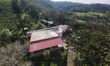 📌 HERMOSA FINCA PRODUCTIVA EN VENTA