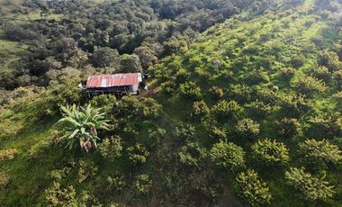 📌 HERMOSA FINCA PRODUCTIVA EN VENTA