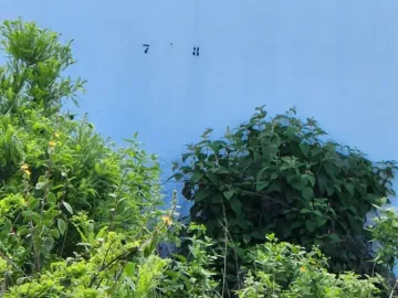 Terreno residencial a la venta en Ciudad Maderas, El Marqués, Querétaro