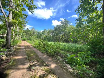 jual tanah subur murah di Grogol Bejiharjo Gunungkidul dekat kota shm
