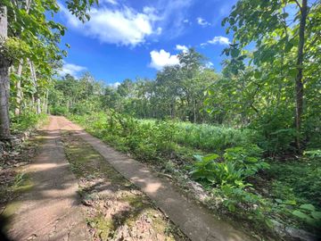 jual tanah subur murah di Grogol Bejiharjo Gunungkidul dekat kota shm