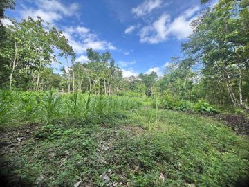 jual tanah subur murah di Grogol Bejiharjo Gunungkidul dekat kota shm