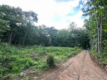 jual tanah subur murah di Grogol Bejiharjo Gunungkidul dekat kota shm