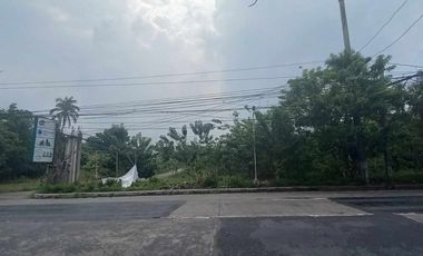 Commercial Lot For Sale in Loma Amadeo Cavite-MC