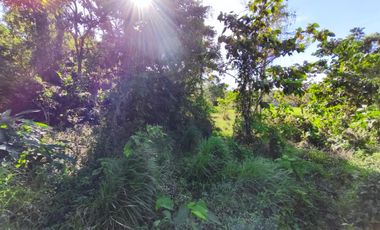 Farm Lot For Sale in Pooc Silang Cavite-MC