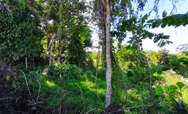 Farm Lot For Sale in Pooc Silang Cavite-MC