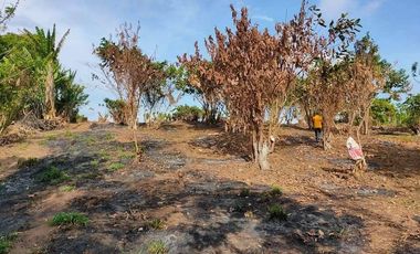 Farm Lot For Sale in Silang Cavite-MC