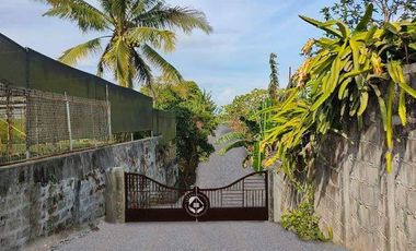 Farm Lot For Sale in Silang Cavite-MC