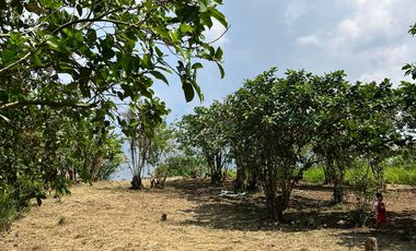 Farm Lot For Sale in Silang Cavite-MC