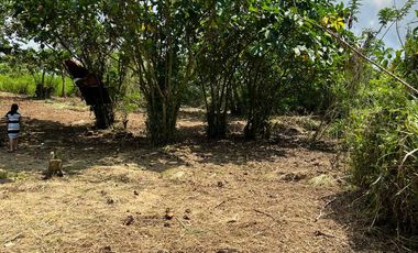 Farm Lot For Sale in Silang Cavite-MC