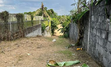 Farm Lot For Sale in Silang Cavite-MC