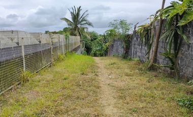 Farm Lot For Sale in Silang Cavite-MC