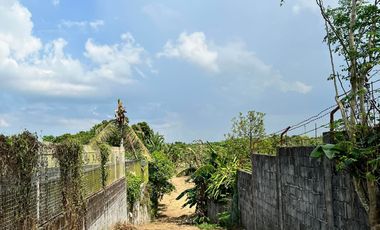Farm Lot For Sale in Silang Cavite-MC