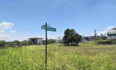 Residential Lot ForSale in Tagaytay City (inside subd)-MC