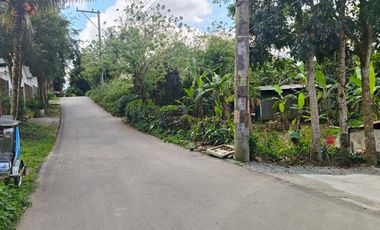Farm Lot For Sale in Tagaytay City-MC