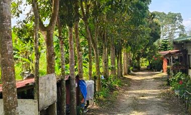 Farm Lot For Sale in Tagaytay City-MC