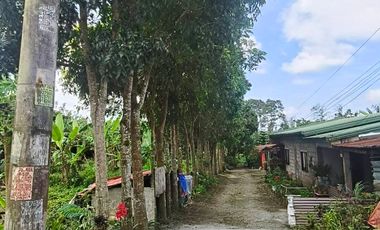 Farm Lot For Sale in Tagaytay City-MC