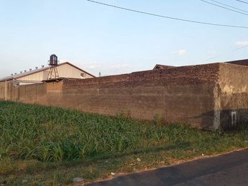 Disewakan Gudang Industri & Pusat Logistik Premium Strategis di Kalikotes, Klaten