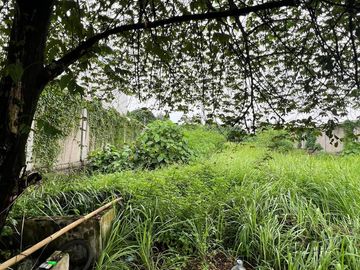 Tanah Pinggir Jalan Raya Cikupa, Tangerang