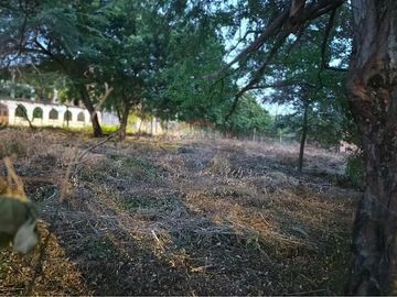 Lote en Venta en Ricaurte