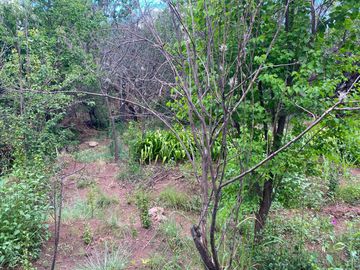 Terreno en Venta en Genaro Codina, Zacatecas