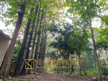 DIJUAL TANAH 5.046 m² BONUS POHON JATI DI LEUWINANGGUNG, TAPOS DEPOK BELAKANG RAFLESS HILLS