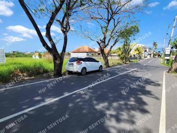 TANAH PERERENAN SESEH SUPER DEKAT PANTAI
