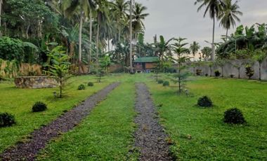 Farm Lot For Sale in Tiaong Quezon-MC