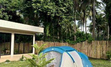 Farm Lot For Sale in Tiaong Quezon-MC