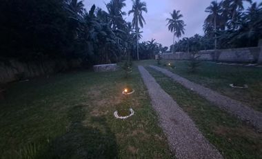 Farm Lot For Sale in Tiaong Quezon-MC