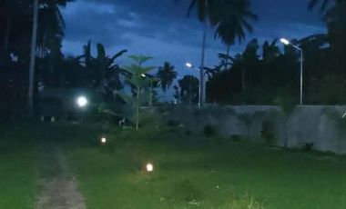 Farm Lot For Sale in Tiaong Quezon-MC