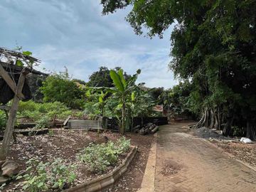 Tanah Siap Bangun Dekat Kampus Undip Jual Cepat